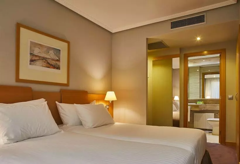 Hotell Silken Alfonso X