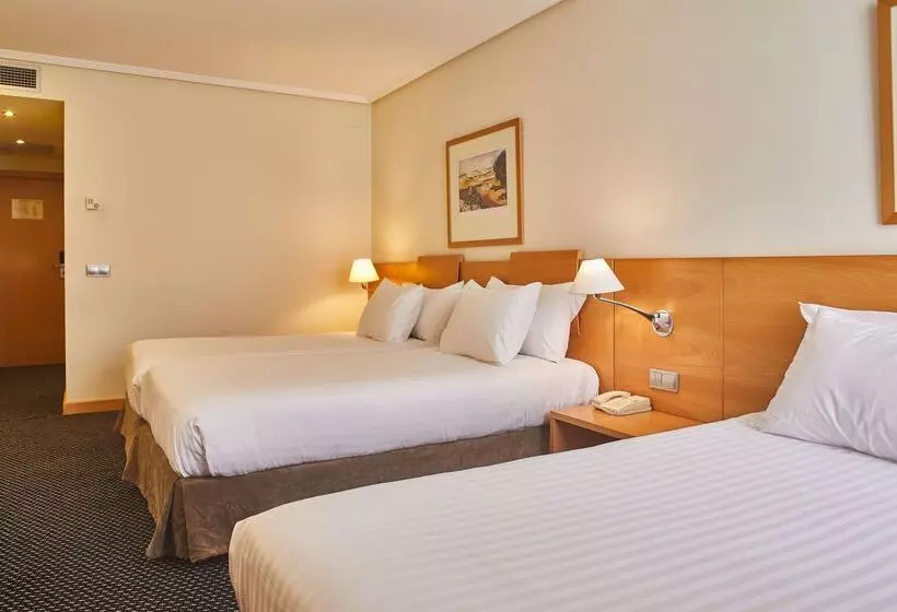 Hotell Silken Alfonso X