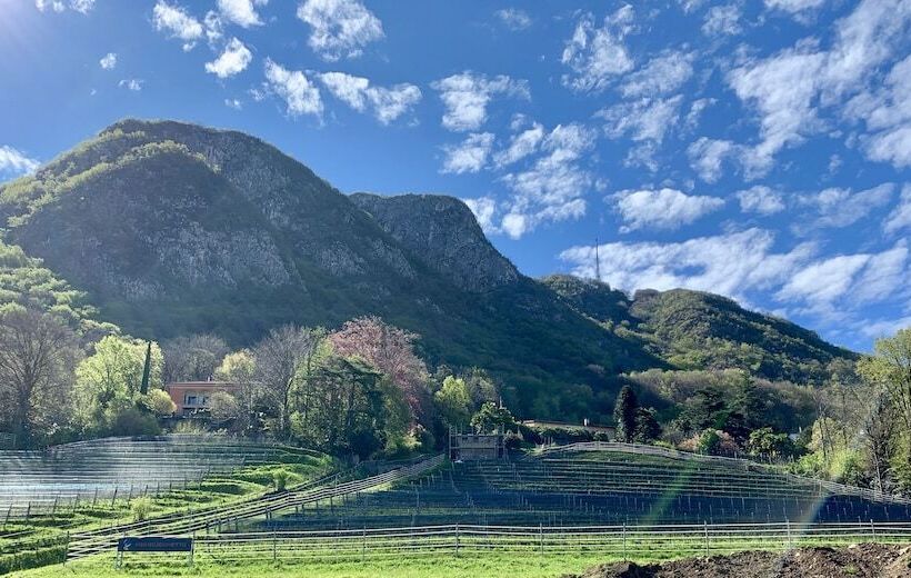 Bigatt Hotel & Restaurant