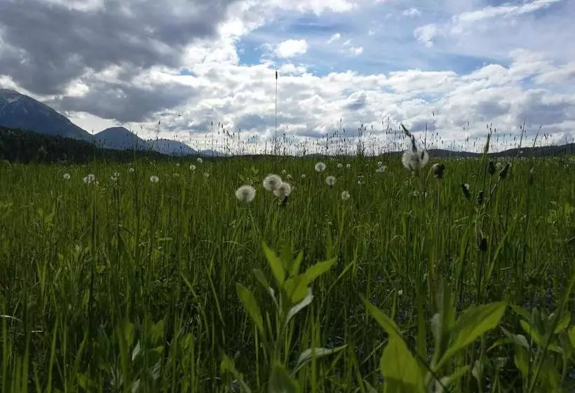 Aamiaismajoitus (B&B) Landgasthof Piroutz