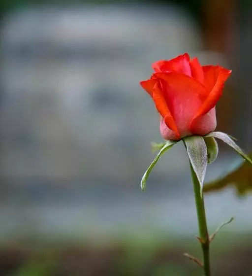 تختخواب و صبحانه Guest House In Gyumri