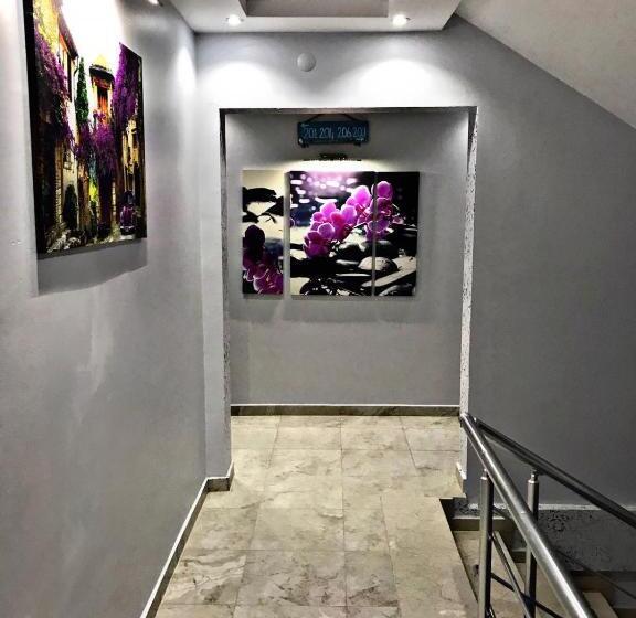 فندق Lotus Boutique