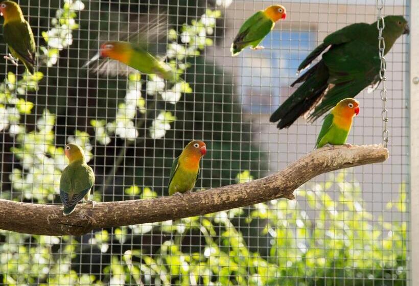 ペンション Penzion Beta