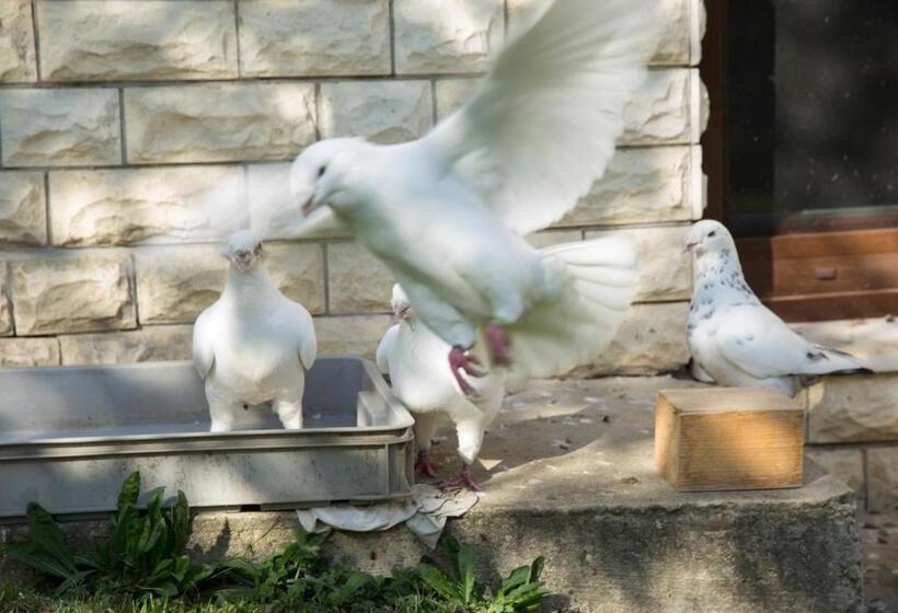 ペンション Penzion Beta