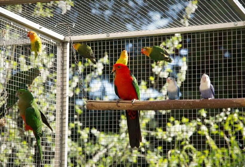 ペンション Penzion Beta