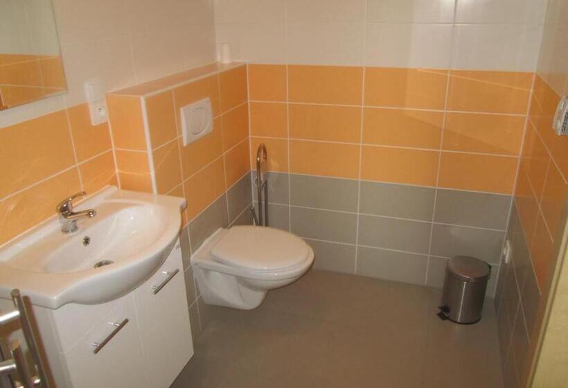 Пансион Polyfunkční Dům Pasát