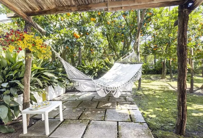 Villa Maresca B&b