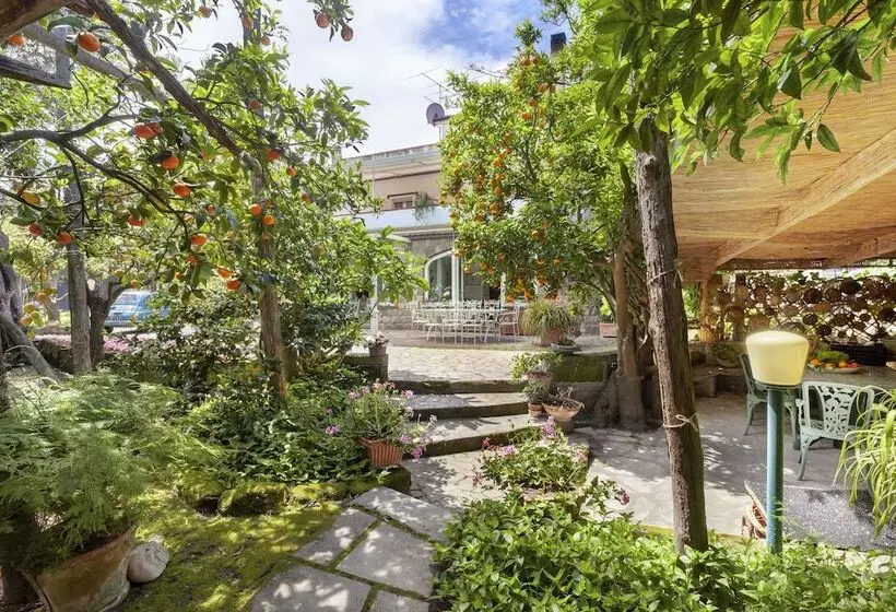 Villa Maresca B&b