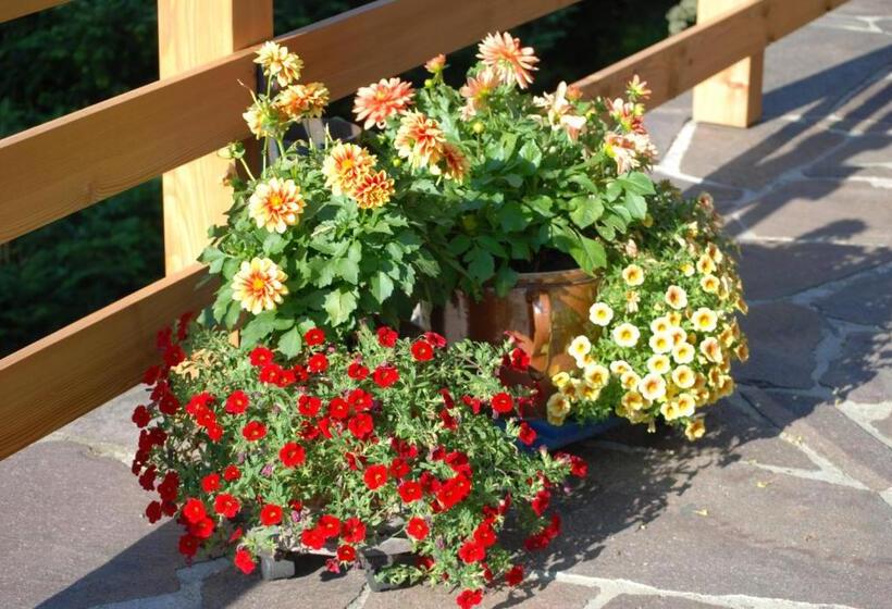 Пансион Gästehaus Luise