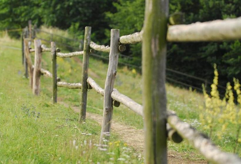 Panzió Penzion U Strakatého Koně