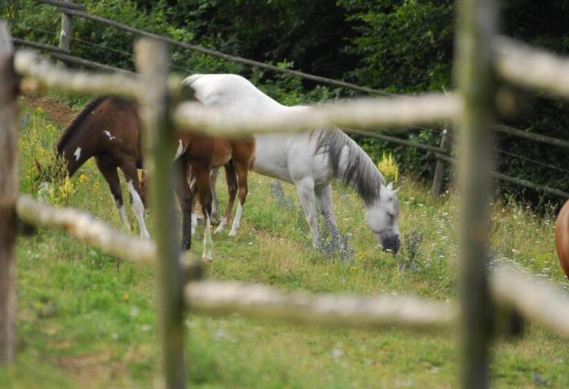 Panzió Penzion U Strakatého Koně