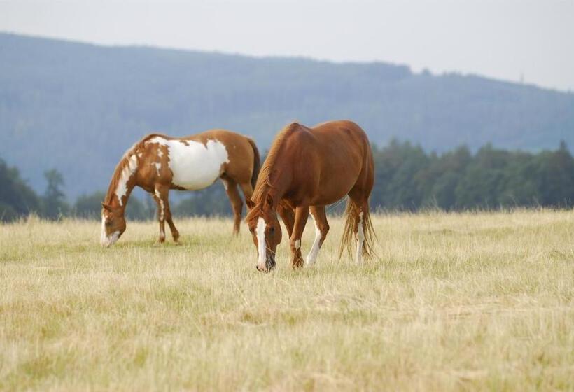 Panzió Penzion U Strakatého Koně