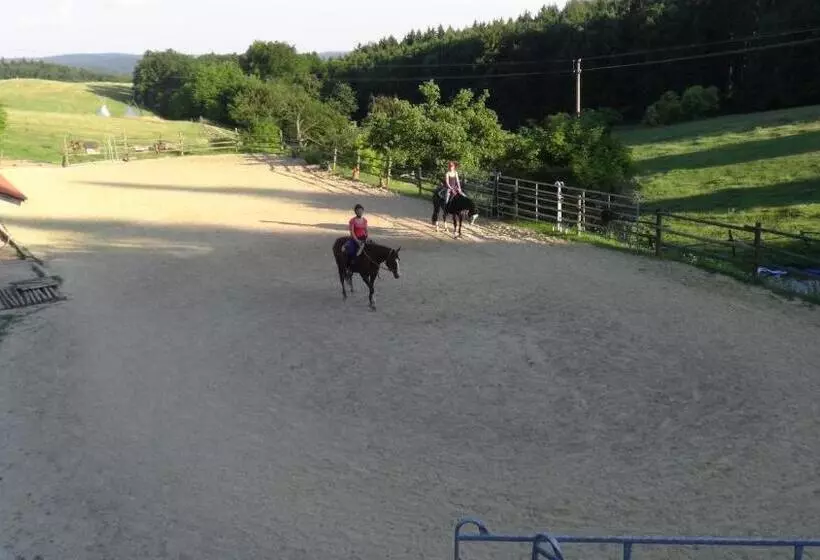 ペンション Penzion U Strakatého Koně