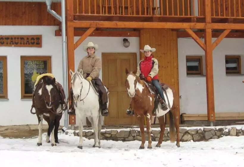 ペンション Penzion U Strakatého Koně