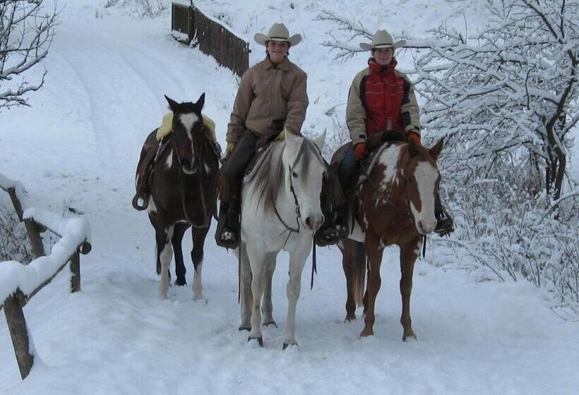 Panzió Penzion U Strakatého Koně