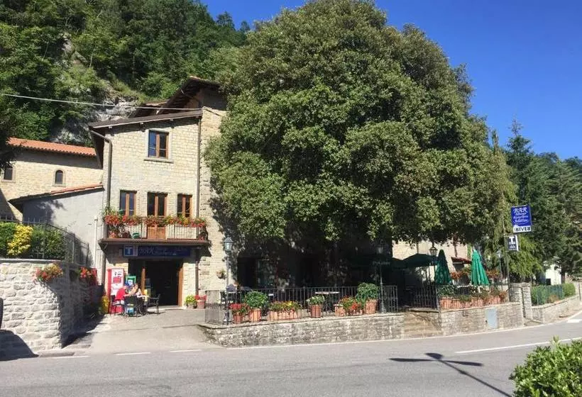 ホテル Albergo Bellavista