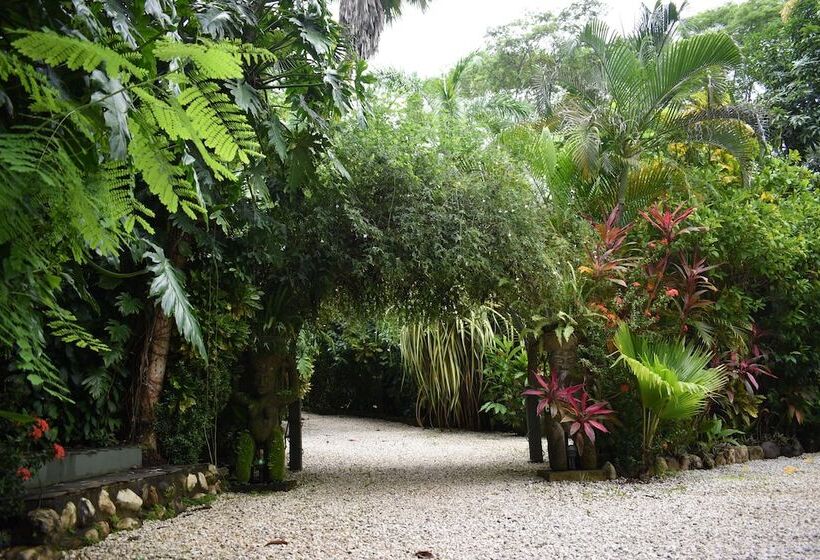 Pachamama Lodge   Hostel