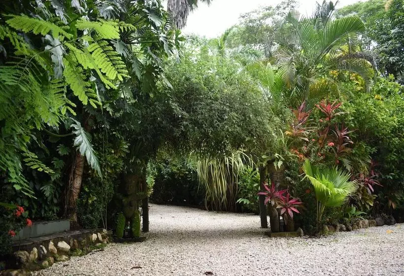 Pachamama Lodge   Hostel