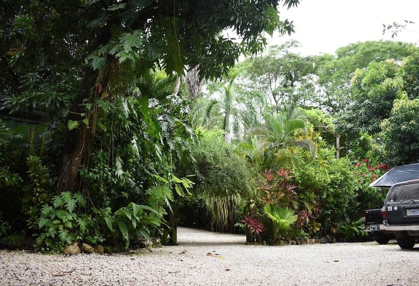 Pachamama Lodge   Hostel