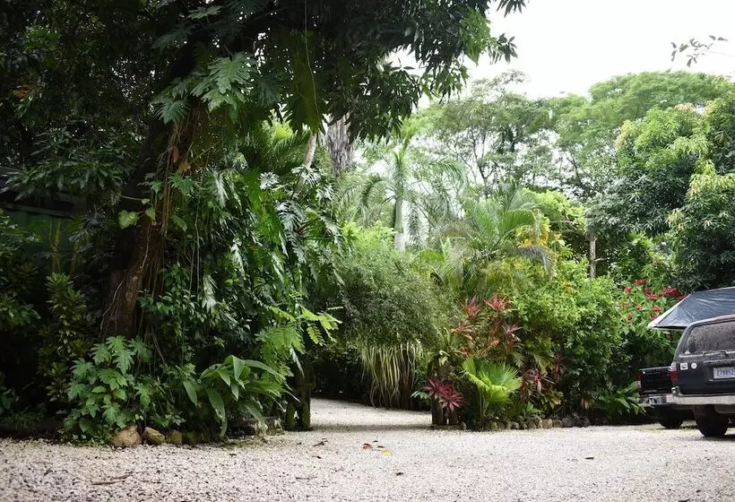 Pachamama Lodge   Hostel