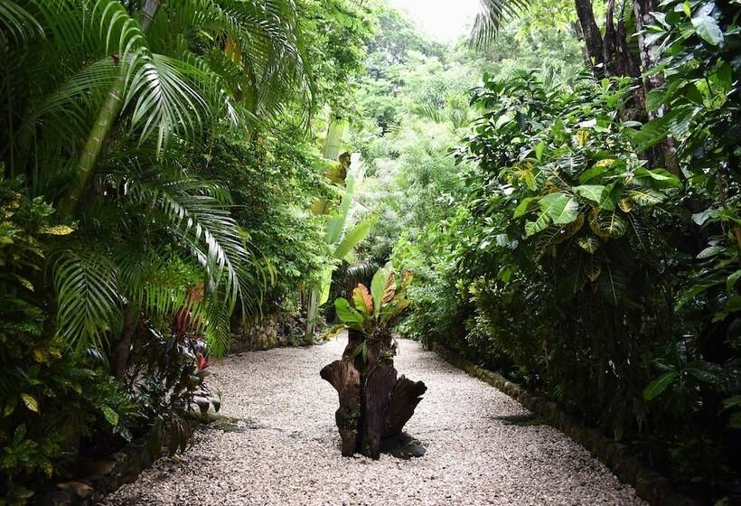 Pachamama Lodge   Hostel