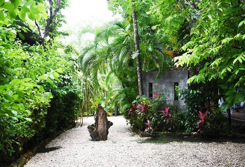 Pachamama Lodge   Hostel
