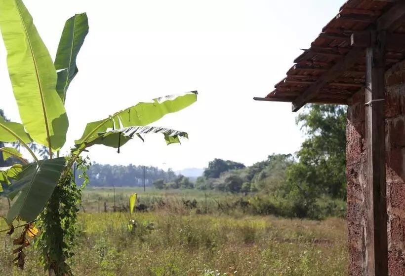 Lomakeskus The Hammock Goa