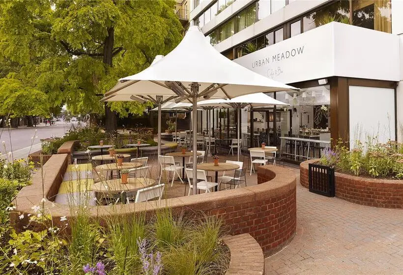 Doubletree By Hilton Hotel London   Hyde Park