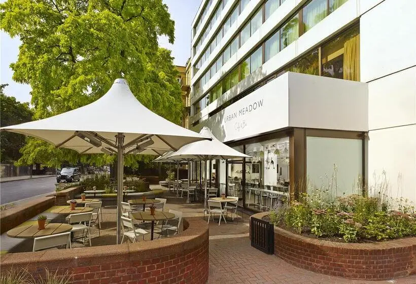 Doubletree By Hilton Hotel London   Hyde Park