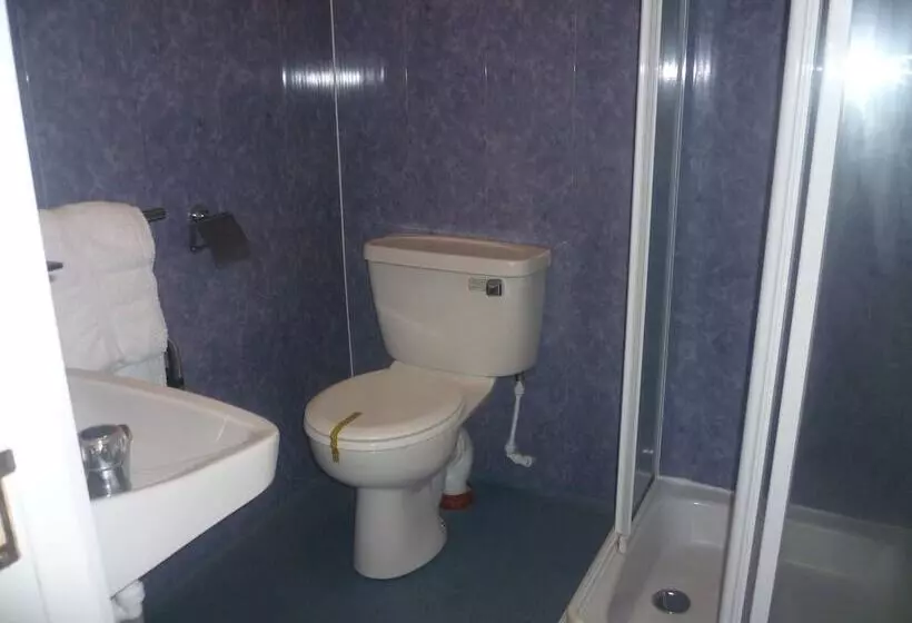 Hotel Ansteys Lea Guest House