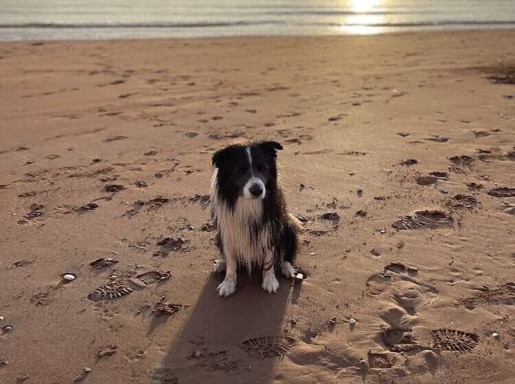 ホテル Cherwood Guest House