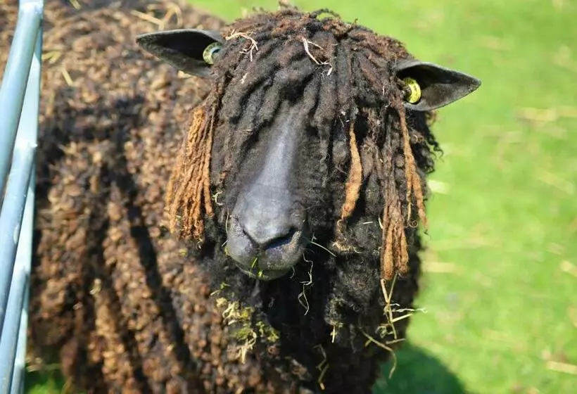 ホテル Elmfield House