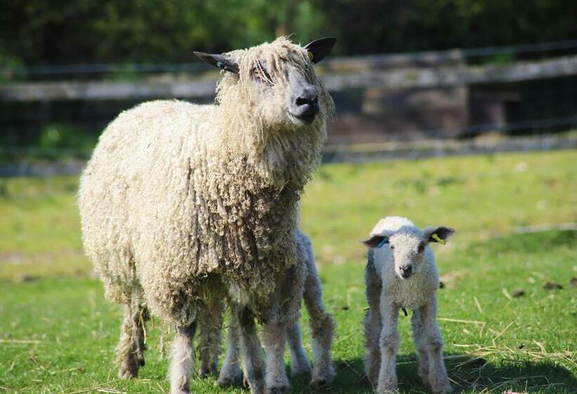 Отель Elmfield House