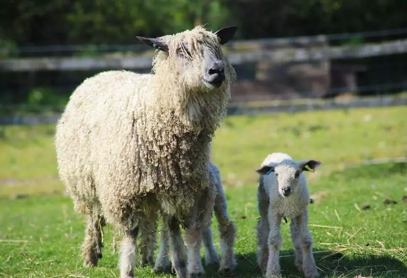 ホテル Elmfield House