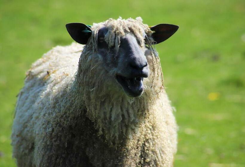 Отель Elmfield House