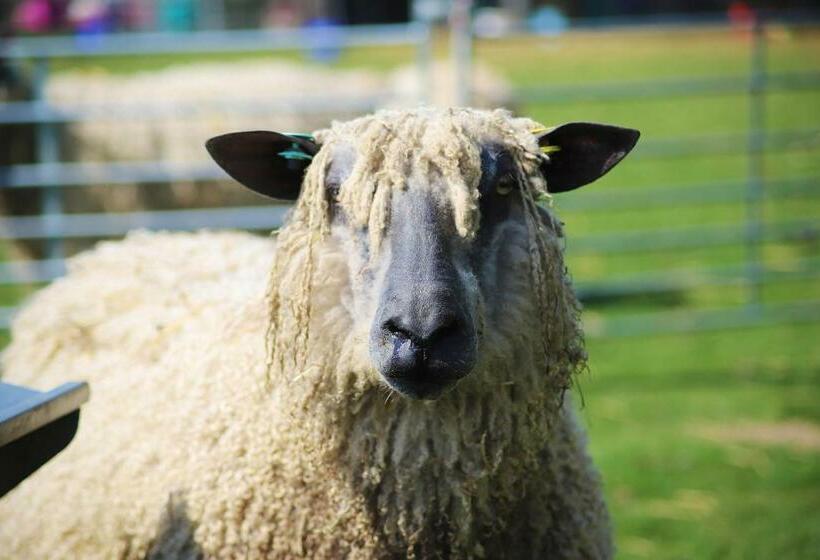 Отель Elmfield House