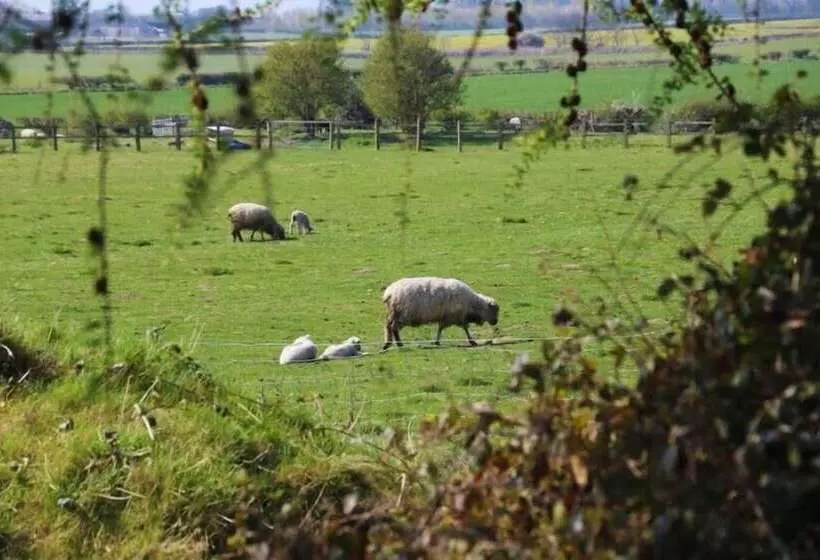 ホテル Elmfield House