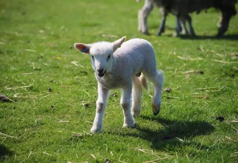 ホテル Elmfield House