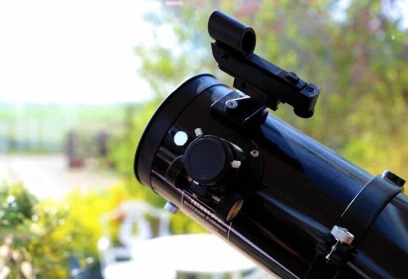 Отель Elmfield House