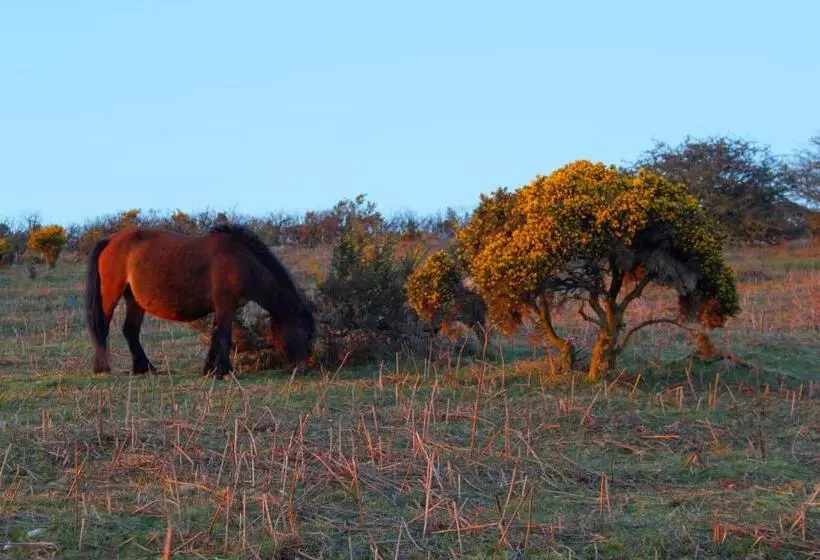 Hotelli The Moorland