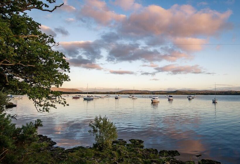 Отель Oak Tree Inn