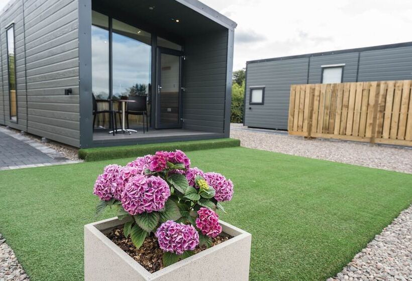 Отель Oak Tree Inn