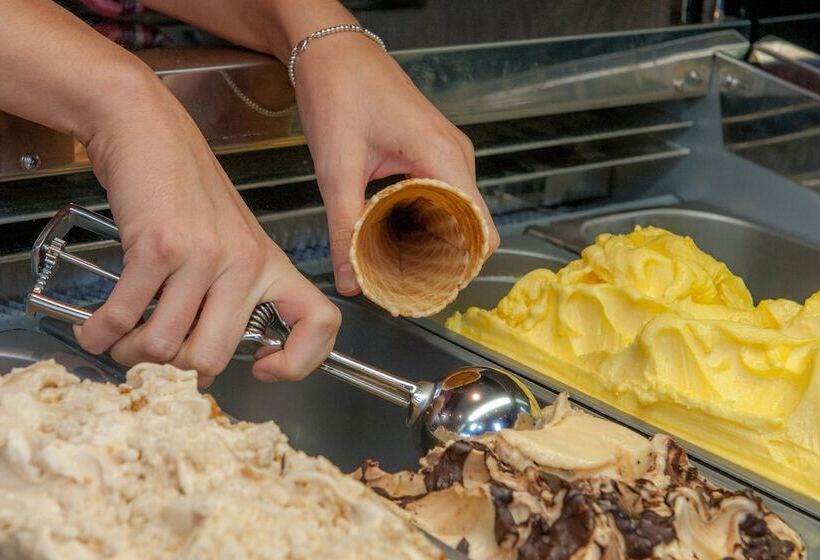 Отель Oak Tree Inn