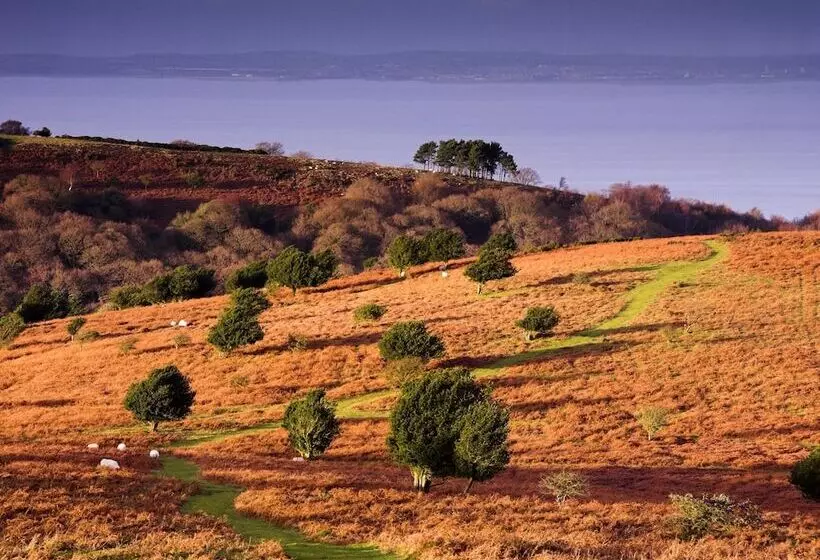 فندق The Hood Arms