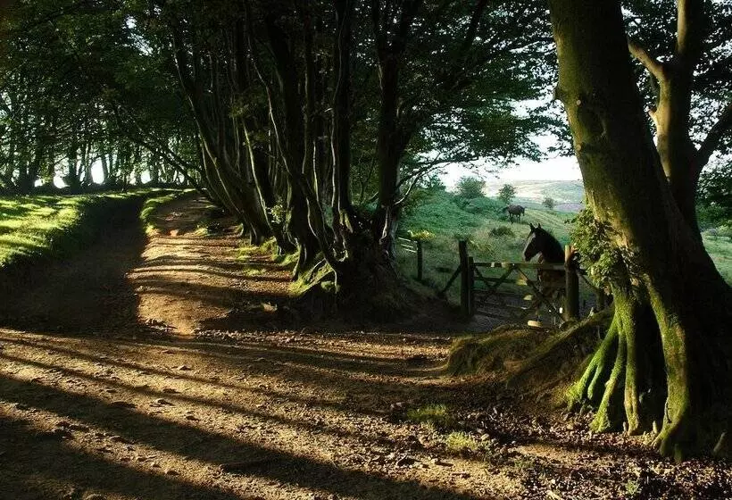 فندق The Hood Arms