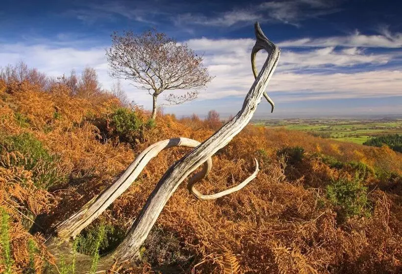 فندق The Hood Arms