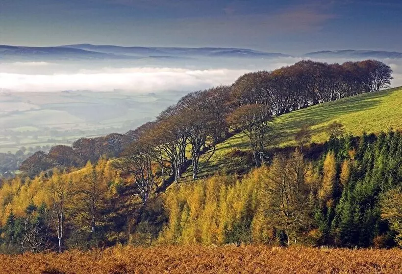 فندق The Hood Arms