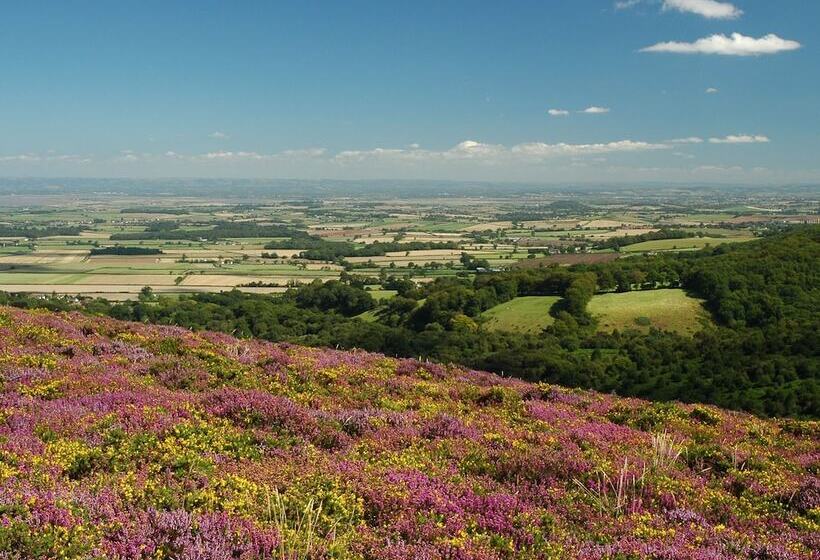 Отель The Hood Arms