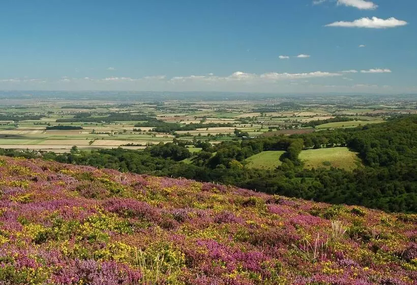 فندق The Hood Arms