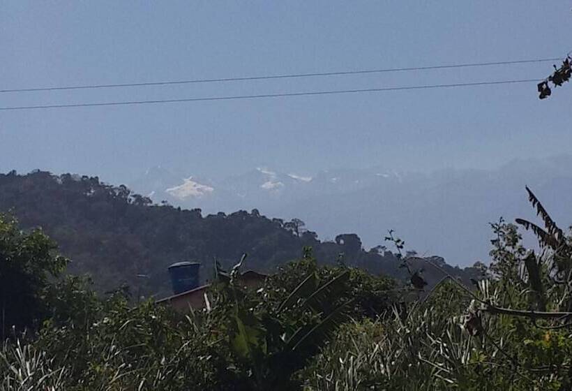 هتل La Rivera Playa Palomino